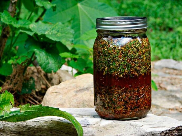 Wormwood decoction will help increase the size of the male genital organ